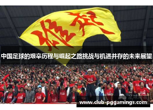 中国足球的艰辛历程与崛起之路挑战与机遇并存的未来展望