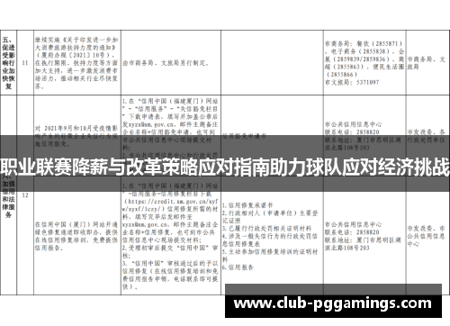 职业联赛降薪与改革策略应对指南助力球队应对经济挑战